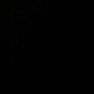 Meet your Posher, Tommy